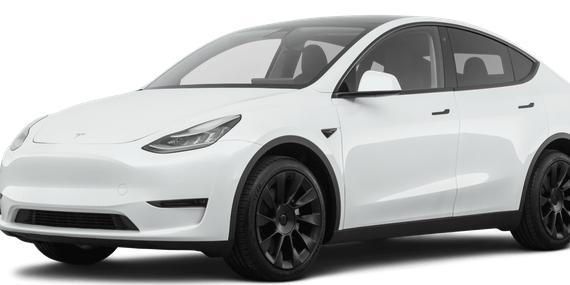 TESLA MODEL Y 2020 5YJYGDEE4LF053204 image